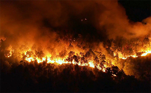 Nguyên nhân cháy rừng ở việt nam