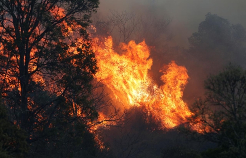 Nguyên nhân cháy rừng ở việt nam